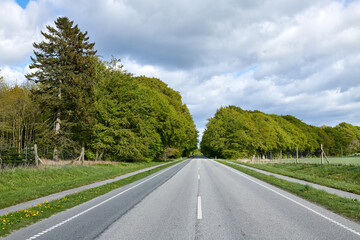 Fototapeta premium Landscape, trees and road in countryside for travel, tourist destination and journey for trip. Empty, background and street with scenic route, highway and space for vacation and holiday outdoor