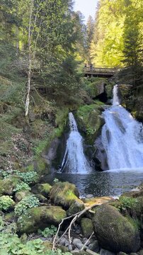 Triberg, Baden-Wurttemberg, Germany - May 1, 2026: View of the Triberg waterfalls flowing through the Black Forest with a wooden bridge surrounded by trees and rocks.