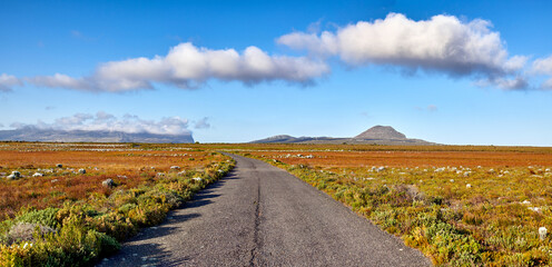 Obraz premium Blue sky, field or road with landscape in nature for travel destination, vegetation or ecology. Clouds, wilderness or street in green environment for scenic route, natural tourism or rugged terrain