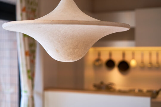 A close-up shot of a unique, organic-shaped pendant lamp hanging from the ceiling in a modern interior setting. The light fixture features a distinctive biomorphic design with a textured, off-white