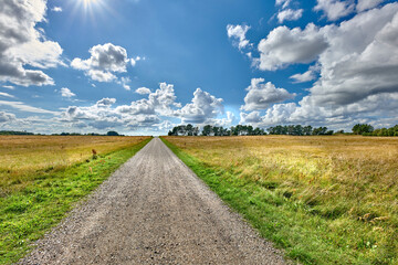 Obraz premium Background, dirt road and field with landscape in green environment for scenic view of summer. Cloudy sky, nature and trees with scenery outdoor in grass habitat for adventure or journey on path