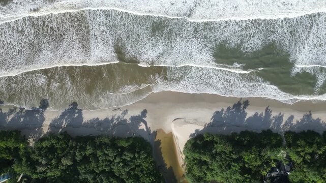 Aerial view of  beautiful tropical beach, waves and rainforest coastline in Brazil