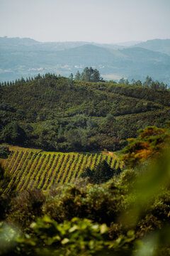 Wide rural panorama of rolling Iberian hills, scattered village houses, vineyards, fields, hazy sky, and layered countryside scenery with natural copy space