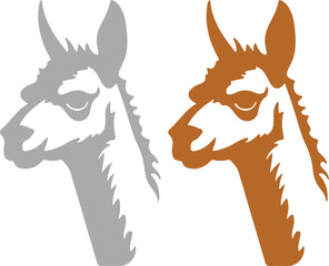Fototapeta premium Llama and alpaca icon set in flat vector style. Collection of cute camelid animal illustrations with standing poses and detailed head designs isolated.