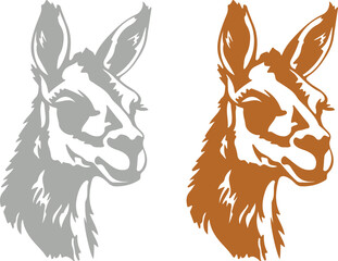 Fototapeta premium Llama and alpaca icon set in flat vector style. Collection of cute camelid animal illustrations with standing poses and detailed head designs isolated.