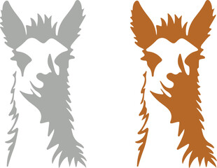 Fototapeta premium Llama and alpaca icon set in flat vector style. Collection of cute camelid animal illustrations with standing poses and detailed head designs isolated.
