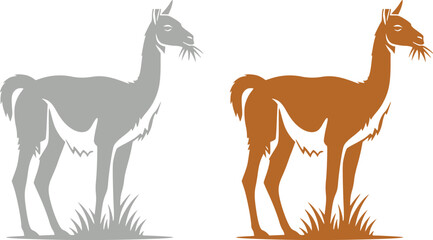 Fototapeta premium Llama and alpaca icon set in flat vector style. Collection of cute camelid animal illustrations with standing poses and detailed head designs isolated.