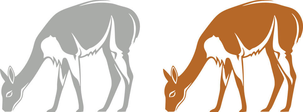 Llama and alpaca icon set in flat vector style. Collection of cute camelid animal illustrations with standing poses and detailed head designs isolated.
