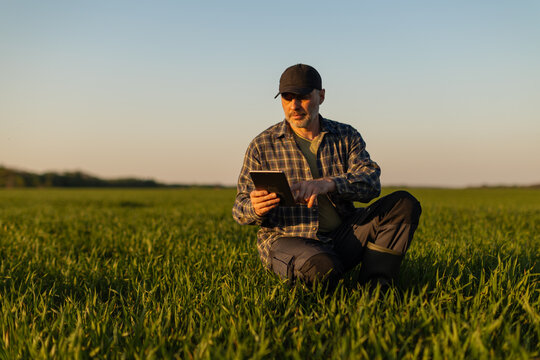 Professional crop inspection. Man farmer in field using tablet to check farm data during sunset time, free space
