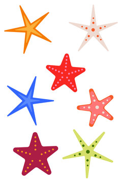 Hand drawn colorful star doodle PNG. Starfish sea stars set with spotted patterns. Sketchy outlined and dotted star shapes for planners, stickers, scrapbook pages, stationery and fun graphic design. 
