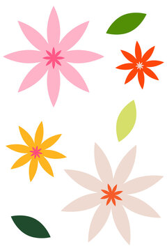 Pastel flower clipart set isolated on transparent background. Colorful floral sticker collection shapes for planners, scrapbooking, spring design, social media, stationery graphics. High-res PNG