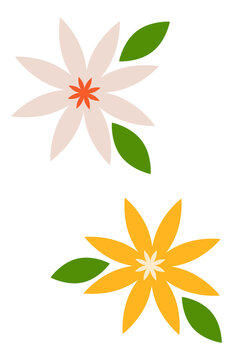 Minimal floral PNG clipart set isolated on transparent background. Elegant pastel flower sticker collection for planners, scrapbooking, spring branding, social media, stationery, art, design projects.