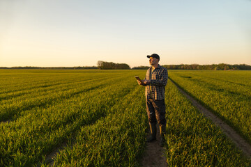 Farming and agribusiness. Man farmer using tablet for control data in farmland in evening, free space © Home-stock
