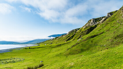 Obraz premium Southern Keel Beach on Achill Island, County Mayo, Ireland, with green coastal slopes above the shore. This image shows the quieter grassy edge of the beach.