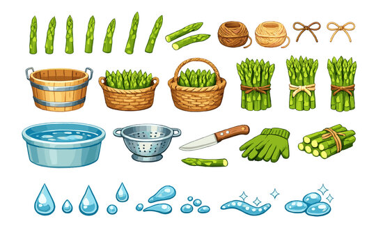 Fresh asparagus preparation with tools and containers for cleaning and storage in a kitchen setting during daytime
