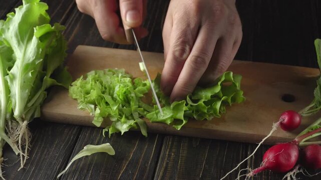 Hands of a person slicing fresh green lettuce on a wooden cutting board with radishes and additional lettuce leaves arranged nearby