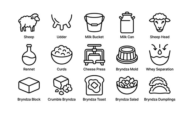 Sheep dairy and bryndza cheese process icons on white background