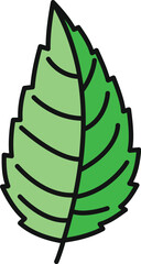 Green mint leaf drawing with black outline on a white background © anatolir