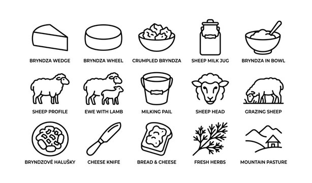 Bryndza cheese and sheep icons arranged on white background