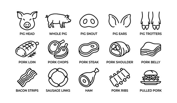 Pig and pork cuts icons labeled with meat product names