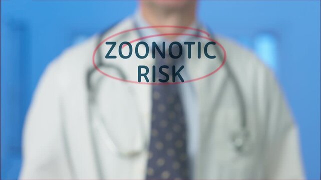 Medical professional writing the words zoonotic risk on a transparent screen, focusing on the danger of diseases transmitted from animals to humans, such as hantavirus or monkeypox