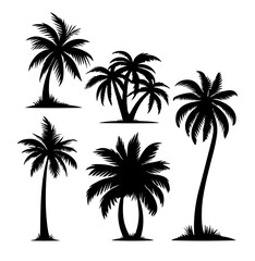 Fototapeta premium Palm tree black coconut icon. Palmetto beach black summer palm tree hawaii vector icon.