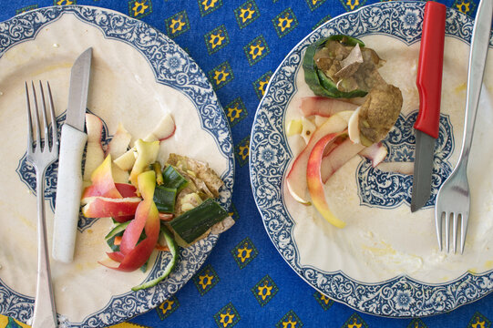 Fruit, vegetable peelings on plates