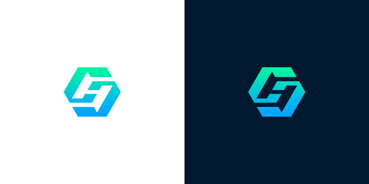 Abstract Hexagonal Geometric Logo Design with Gradient Blue and Green Colors on White and Dark Backgrounds