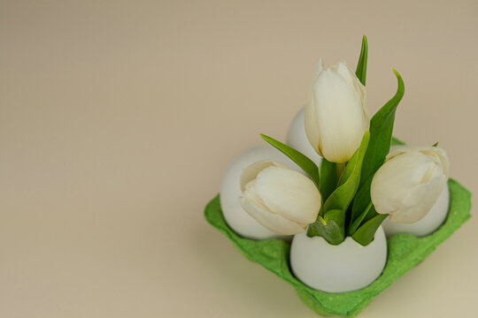 White Tulips in Eggshell Vase on Green Egg Carton with Copy Space