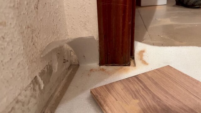 Termites damaging wooden door frame and skirting board during home renovation