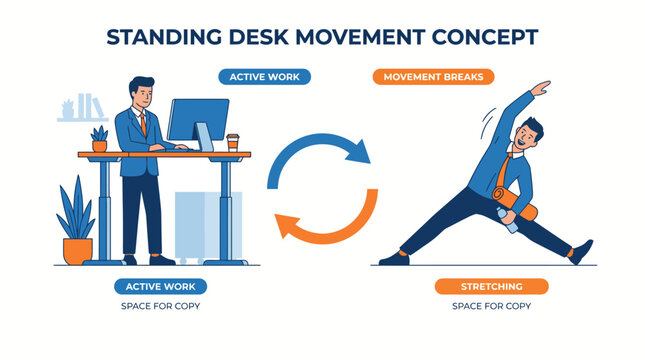 Standing Desk Movement Concept: Active Work and Stretching Cycle