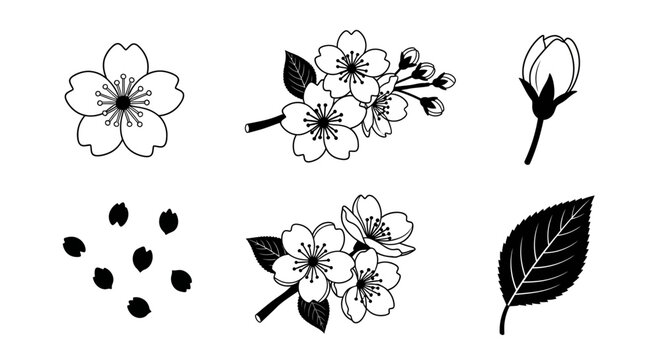 Black cherry blossom icons, floral elements, sakura flowers, vector illustrations