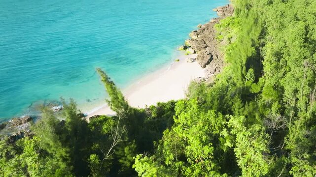 Aerial view of tropical beach with lush greenery