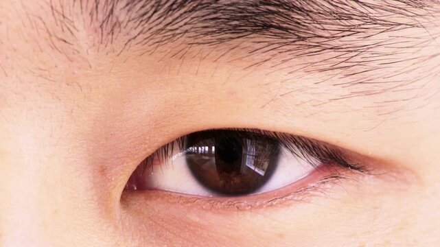Closeup, face and eye with optometry, optical examination or glaucoma test in vision care. Retina health, portrait and male person with blink, eyesight perception or wellness in ocular assessment.
