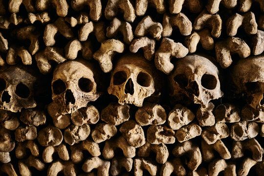 Macabre Wall of Human Skulls and Bones in the Paris Catacombs