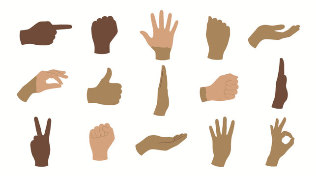 Collection of diverse human hands with various skin tones showing different communication gestures on white background, representing multicultural unity and expressing sign language communication