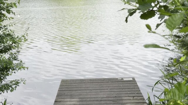 Focus shifting from leaf to empty wooden pier