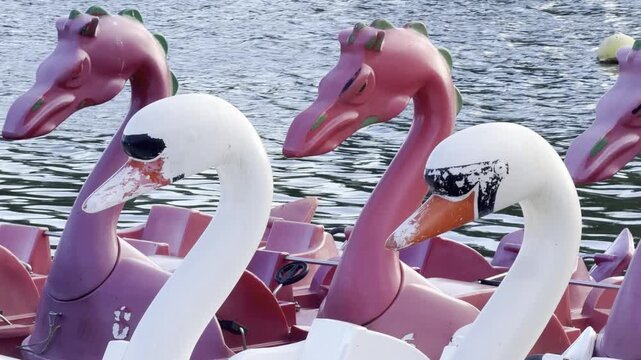 Pink dragon pedal boats on lake 4K