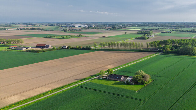 Aerial view of vast agricultural fields with farmhouses and rows of trees under a clear sky in Vierpolders, South Holland, Netherlands.