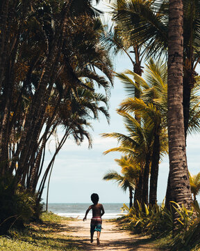 Child Running Alone to the Beach Along Tropical Palm Path, Bertioga, Brazil