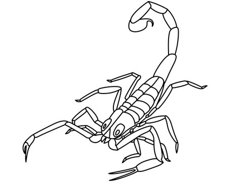 石炭紀のプルモノスコルピウス(サソリ)のデフォルメイラスト