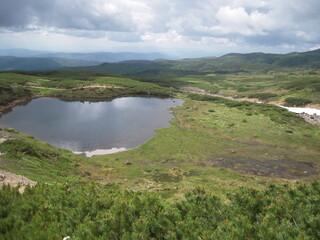 Fototapeta premium Ponds and Flowers in Mt.Asahi-dake