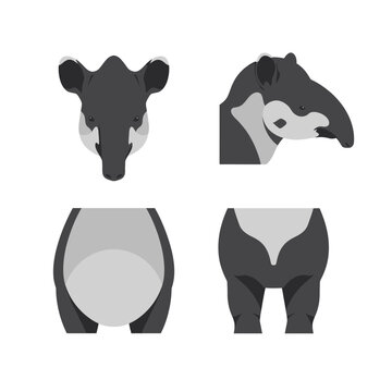 Malayan Tapir Head and Body Parts Minimalist Vector Icon Set