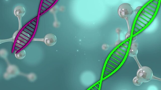On start two DNA helices gliding rotating while metal clusters shifting making clean molecular view