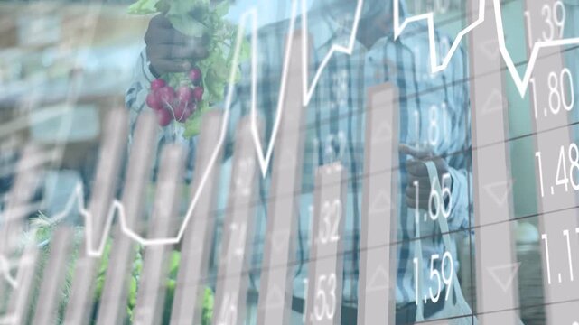 Senior man picking radishes and checking quality at stall while finance graphs spreading over frame