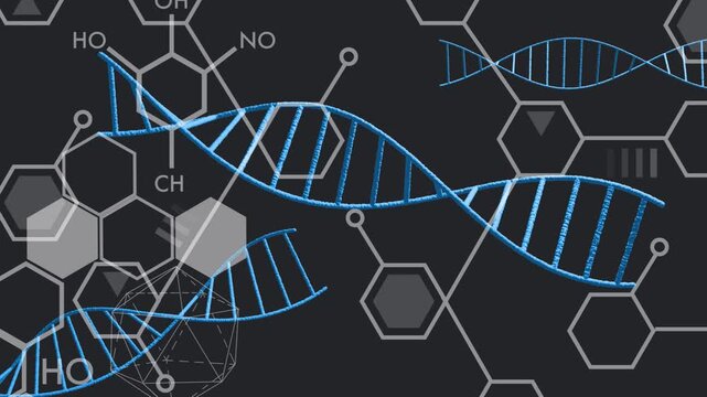 Central helix shifting on loop start, small helices oscillating and crossing grid, showing motion