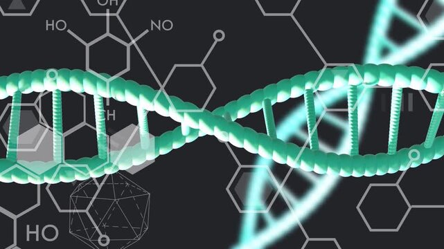 Mint-green helix rotating, cyan helix entering right, crossing and pulsing to visualize DNA pairing