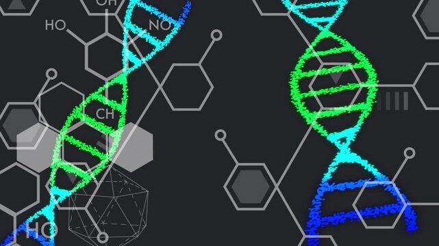 On loop left particle DNA helix rotating inward while right helix swaying, showing molecular motion