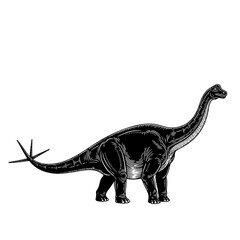 Dinosaur Brontosaurus Silhouette, Ancient Creature Illustration © Gudang Garam