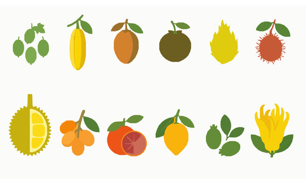 Colorful rare exotic fruit cartoon vector collection isolated on white background